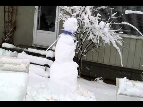 DJ's Cyborg Snowman