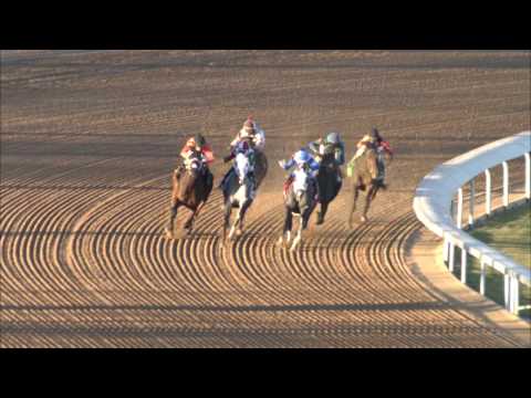 Oaklawn American Beauty Stakes 2017