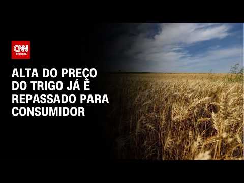 Trigo mais caro pressiona moinhos e padarias; veja como fica preço do pão | CNN AGRO NEWS