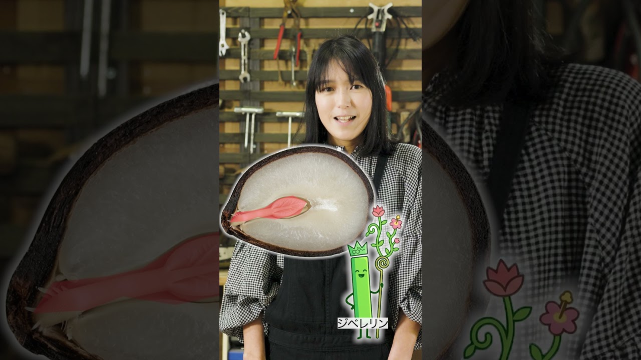 種の植物生理解説