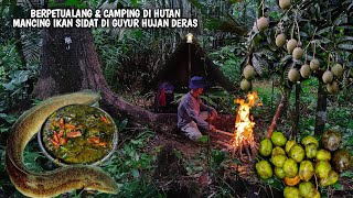 Download lagu Berpetualang & Camping, panen buah-buahan liar di hutan, pasang pancing dan masak ikan sidat  mp3