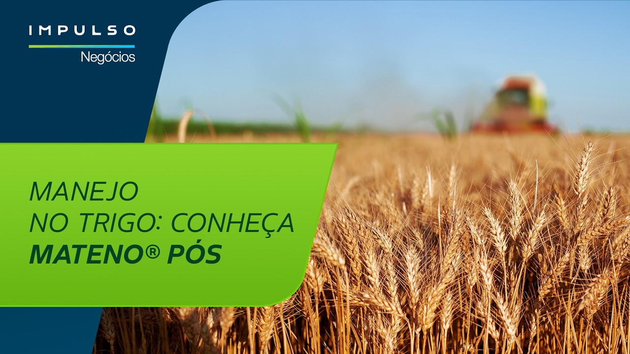Trigo: manejo de plantas daninhas | Impulso Negócios 199