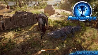 Assassin&#39;s Creed Origins - Circle of Life Trophy / Achievement Guide