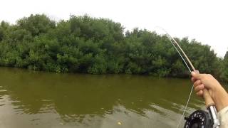 preview picture of video 'Tacarigua 2012 Pesca.mp4'