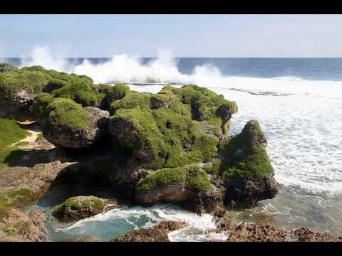 MAPU-'A-VAEA (HOUMA) MANATU NI TEMA FE'AO