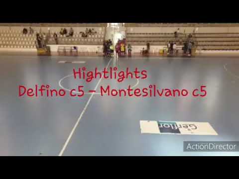 Highlights Delfino C5 - A.S.D. Montesilvano C5  2-3