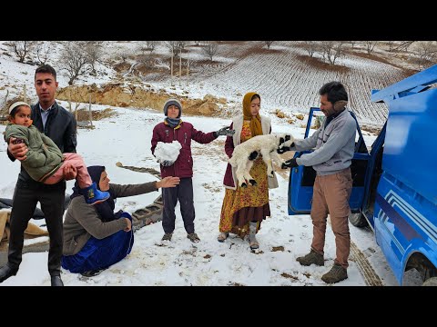 Daily Life Drama: Sick Lamb 💔, Vet Visit & Family Birthday Party (Leila Stays Home)