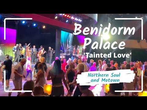 Northern Soul Band Singing Tainted Love at Benidorm Palace 2024