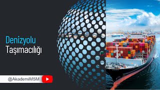 MSM Küresel Denizyolu Taşımacılığı