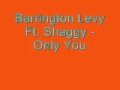 Barrington Levy Ft Shaggy Only You