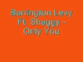 Barrington Levy ft. Shaggy - Only You 