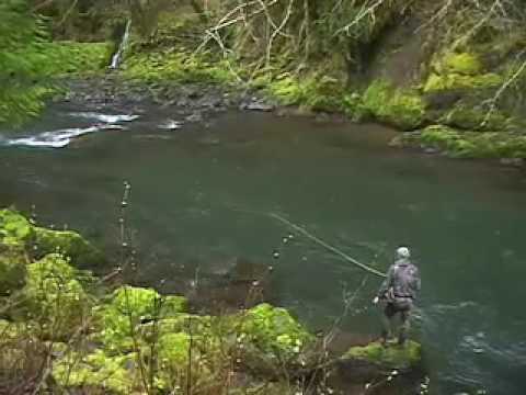 West Coast Steelhead Fly Fishing