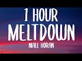 Niall Horan - Meltdown (1 HOUR/Lyrics)