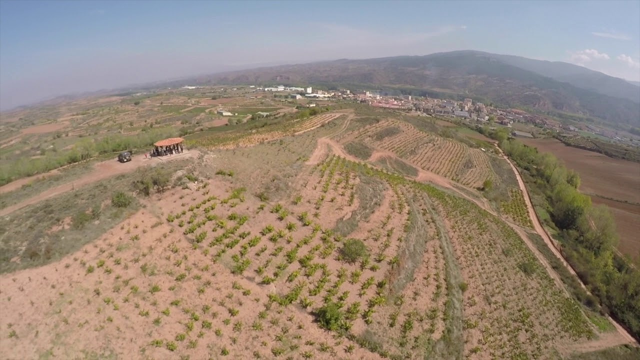 Visit the unique vineyard of Mas Pendiente in Rioja with a Hummer vehicle and tasting of 4 premium wines