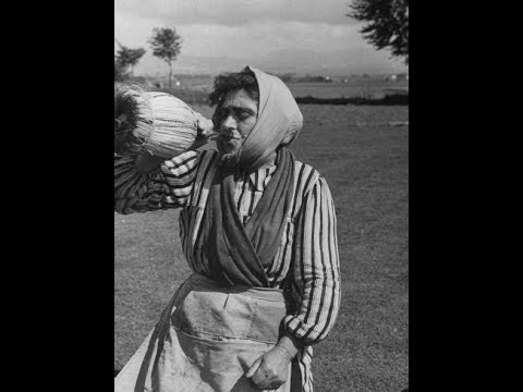 Cannonau and Wines of Sardinia