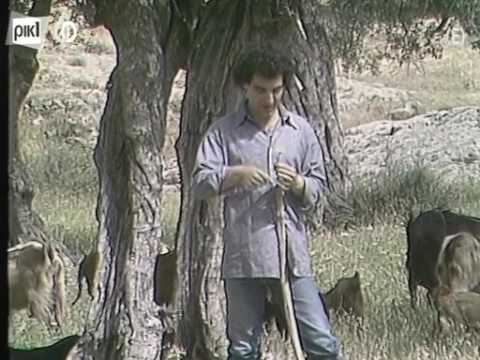 ΤΟ ΑΡΝΙΝ ΤΗΣ ΛΑΜΠΡΗΣ