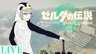 【ゼルダの伝説~ティアーズ オブ ザ キングダム~】初見でじっくりやっていく配信　#6（The Legend of Zelda Tears of the Kingdom)