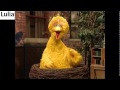 Elmo S World Birds Sesame Street