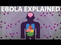 The EBOLA Virus Explained ��� How Your Body Fights.