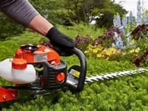 Echo HC152 Hedge Trimmer