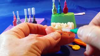 How to Clean Between Teeth with an Interdental Brush