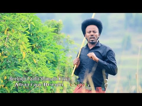 Abarraa Beegii: Beeljigii Caalti Shimalli Kiyya * Oromo Music 2016 NEW By RAYA Studio