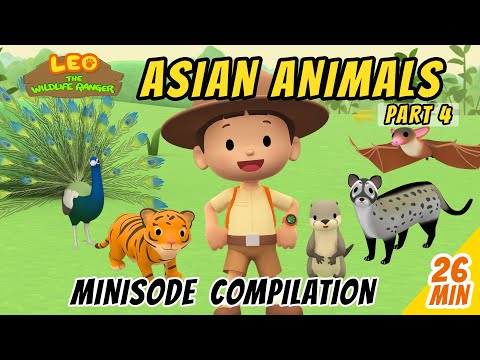 Asian Animals Minisode Compilation (Part 4/5) - Leo The Wildlife Ranger | Animation | For Kids