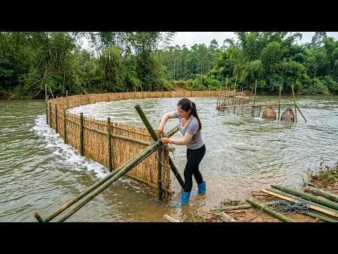 TIMELAPSE : Building A Giant Fence Across The River To Redirect Water Into A Fish Trap