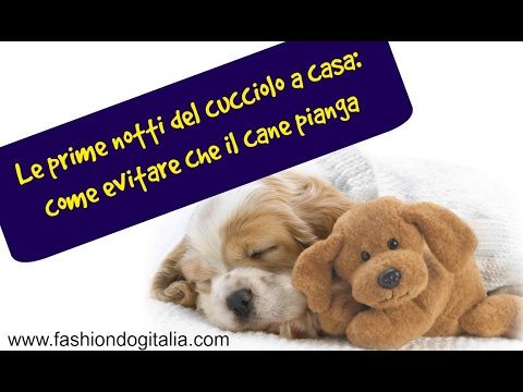 Che trattare il bambino vermi 4 anni Disposizione di helminths nei modi nazionali