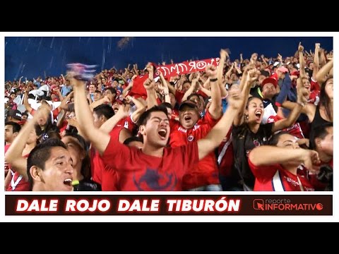 download lagu mp3 mp4 Dale Tiburon, download lagu Dale Tiburon gratis, unduh video klip Dale Tiburon