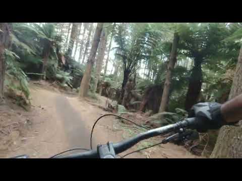 Te Poaka MTB #shorts