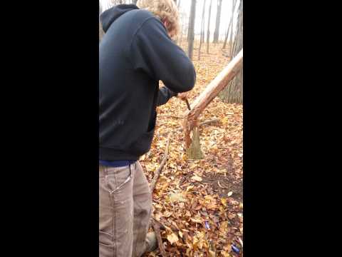 12 ga vs tree