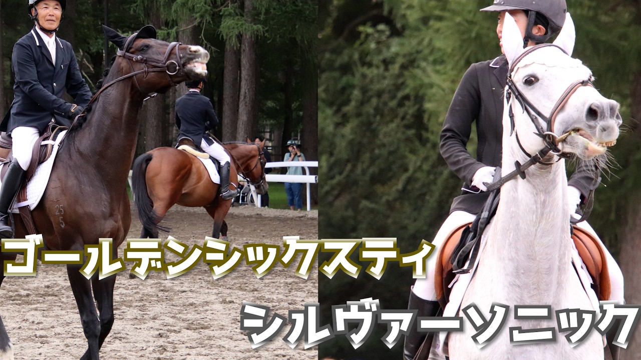 シルヴァーソニック＆ゴールデンシックスティ｜RRC引退競走馬杯2025 馬場馬術