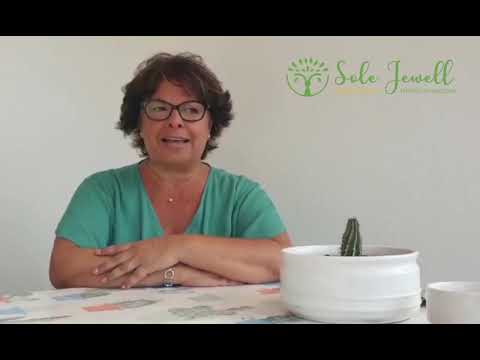 Counsellor Support