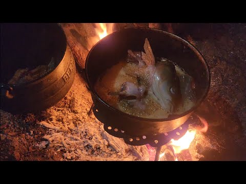 Fishing and Adventure in the Misiones Jungle with a Subscriber from Buenos Aires. We Cooked Pig's...