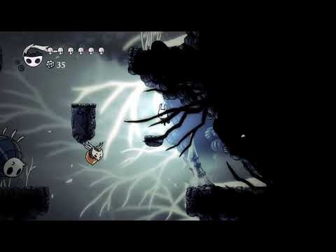 What you feel Vs what other people see with Primal Aspid in hollow knight