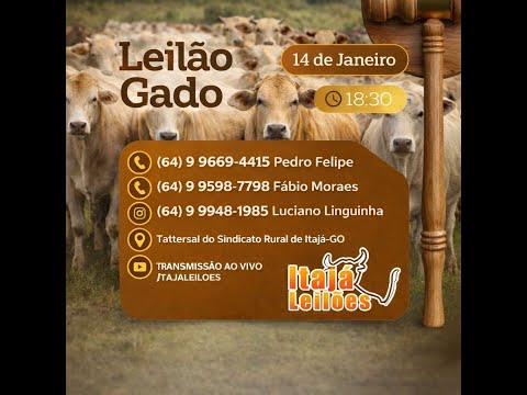 LEILÃO DA ITAJÁ LEILÕES