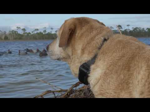 Cast & Blast Beach Style (Season 1, Episode 10)