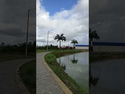 lagoa da camgaiba em Goianinha RN A morada o jacaré Fred 🐊canal IOR COMPOSITOR ❤️#shorts