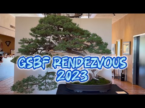 GSBF Rendezvous 2023 in Santa Nella