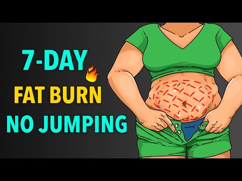 7-DAY FULL BODY FAT BURNING – NO JUMPING, NO REPEATS