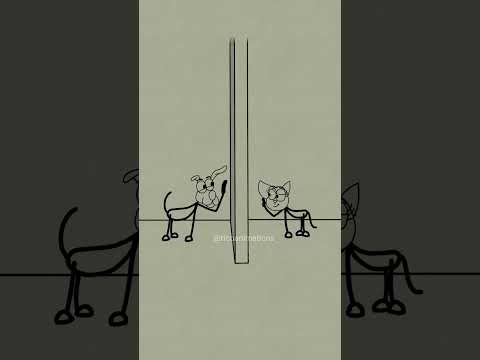 Dog in love with a cat 🥰🤣(4 memes)