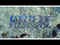 Alemán Waves Video Oficial Prod BY T Alemán Waves Video Oficial Prod BY T