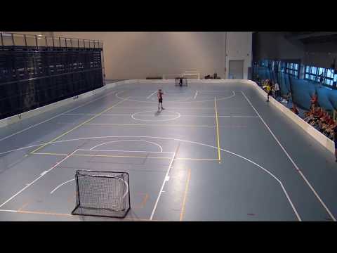 Pelicans-Sudet C03 PUN 8.8.2017 rankkarit