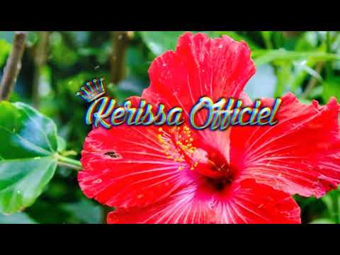 Dj Wallis One - Ovi Ovi Mai (SFK Remix)