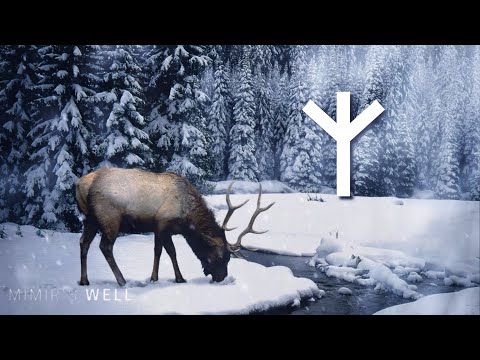 Algiz | Ritual & Meditation Music 🎧