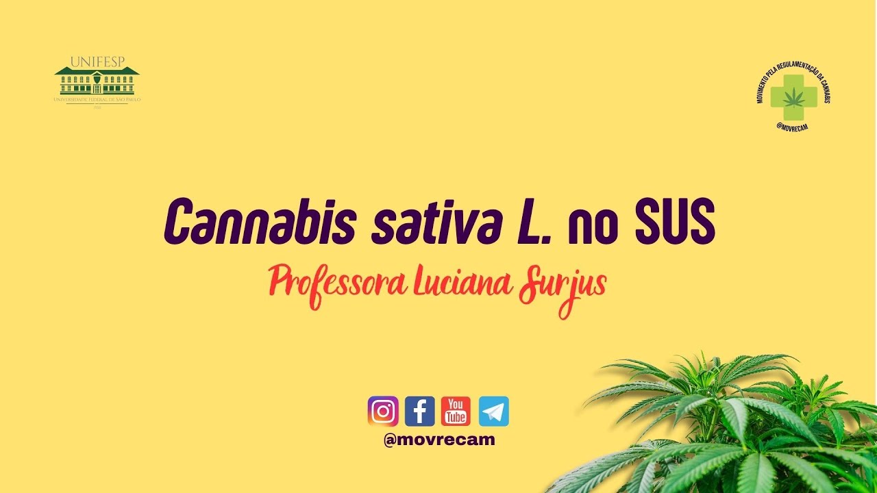 4ª Aula -  A Cannabis sativa L. no SUS - Professora Luciana Surjus