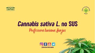 4ª Aula -  A Cannabis sativa L. no SUS - Professora Luciana Surjus