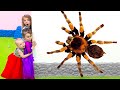 Five Kids Magic Animals Song + more Children's Songs and Videos
