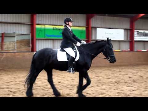 Dressuurwedstrijd Vrouwenparochie - 2e proef Liesbeth Hoogenraad